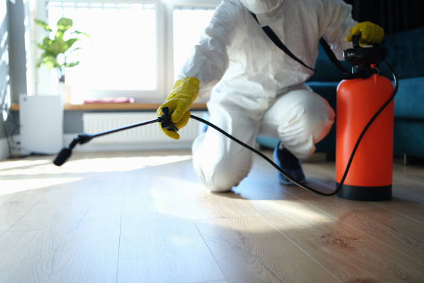 Reliable Sewage Cleanup contractor in Ridgeville, SC by Trauma Clean Pros